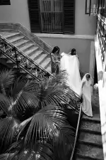 Diomedea Group - Bild 9