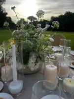 LoveBirds Mallorca - Imagen 9