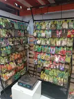 Dispet Baleares - Bild 3