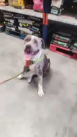 Dispet Baleares - Bild 5