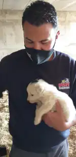 Dispet Baleares - Bild 7