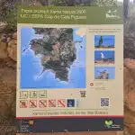 Cala des Mago - Bild 10