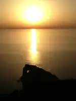 Chic Mallorca Real Estate - Bild 10