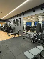 Singular Fitness - Bild 9