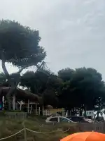 MURO Beach - Image 10