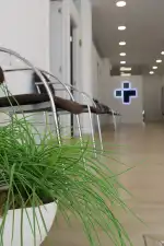 COT PALMA - Imagen 4