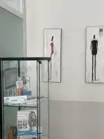 DER ZAHNARZT Deutsche Zahnarztpraxis - Bild 7