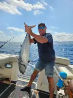 ROYAL CHARTERS MAJORCA - Bild 3