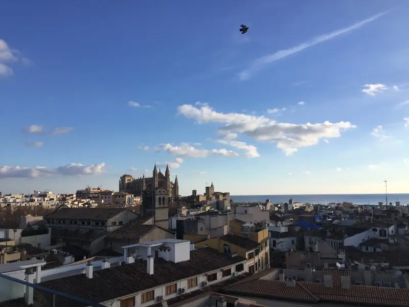 Agentur Traumhochzeit - Bild 1