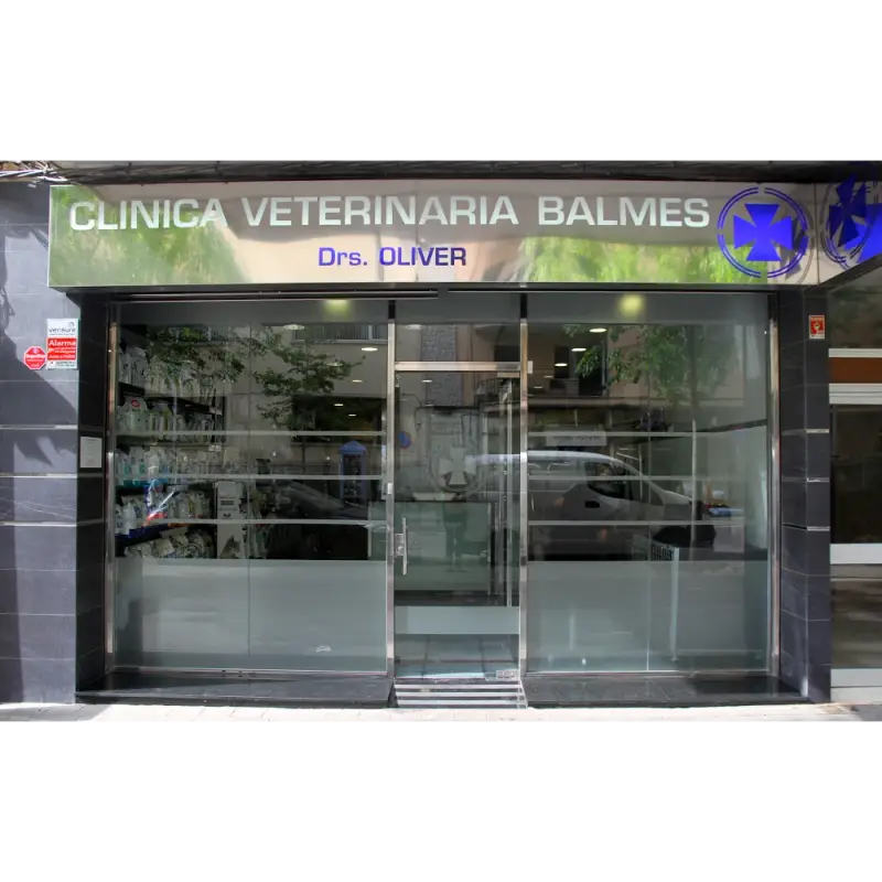 Balmes Veterinary Hospital - Bild 1