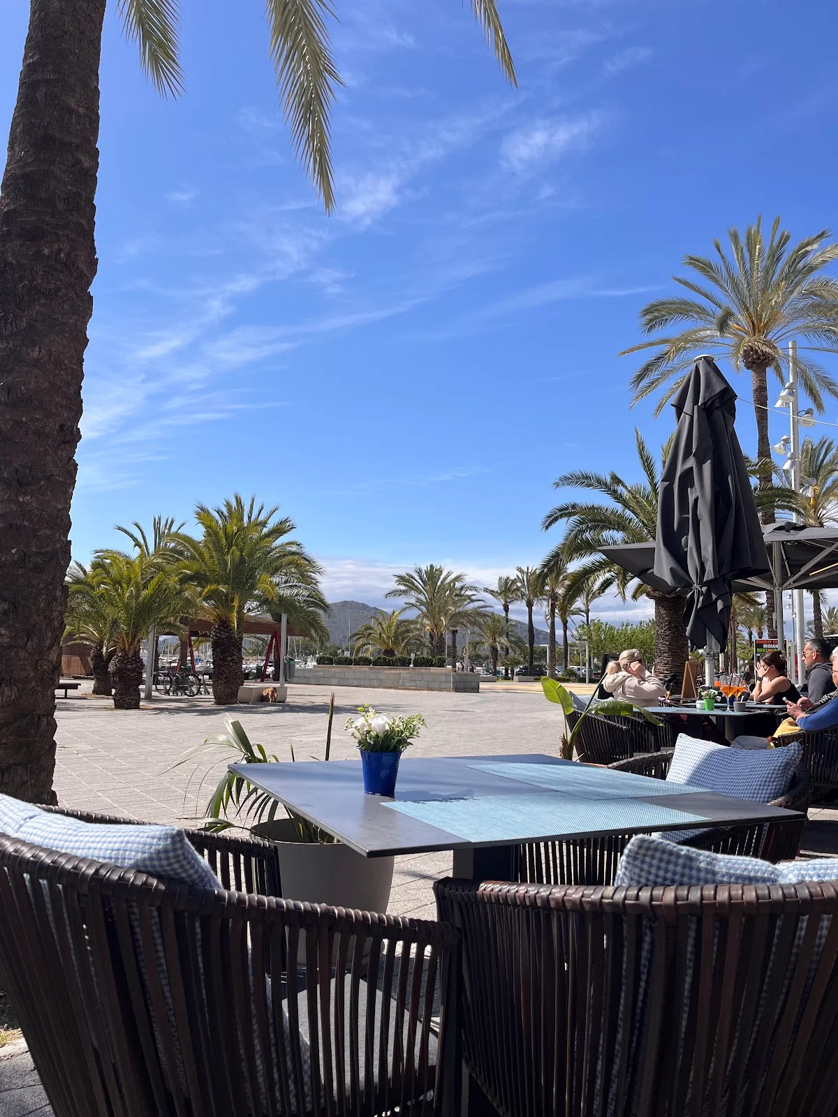 Club Restaurant Bellavista - Bild 1