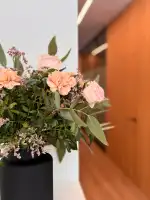 ONA Clinic Mallorca - Bild 10