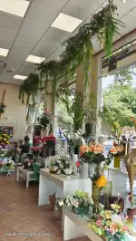 Floristería Miraverd - Bild 10