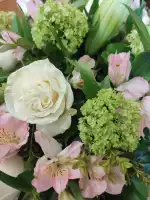 Floristería Miraverd - Bild 3