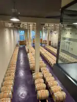 Bodega Es Fangar Vins - Bild 5