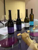 Bodega Es Fangar Vins - Bild 6