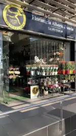 Floristería Alberto Francia