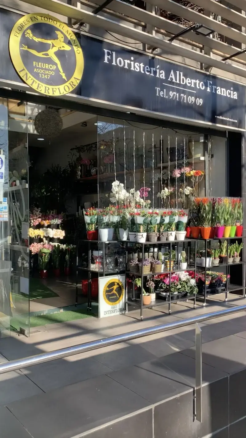Floristería Alberto Francia - Bild 1