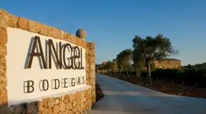 Bodegas Angel - Imagen 1