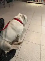 Clínica Veterinaria Eurotierklinik ETK - Bild 10