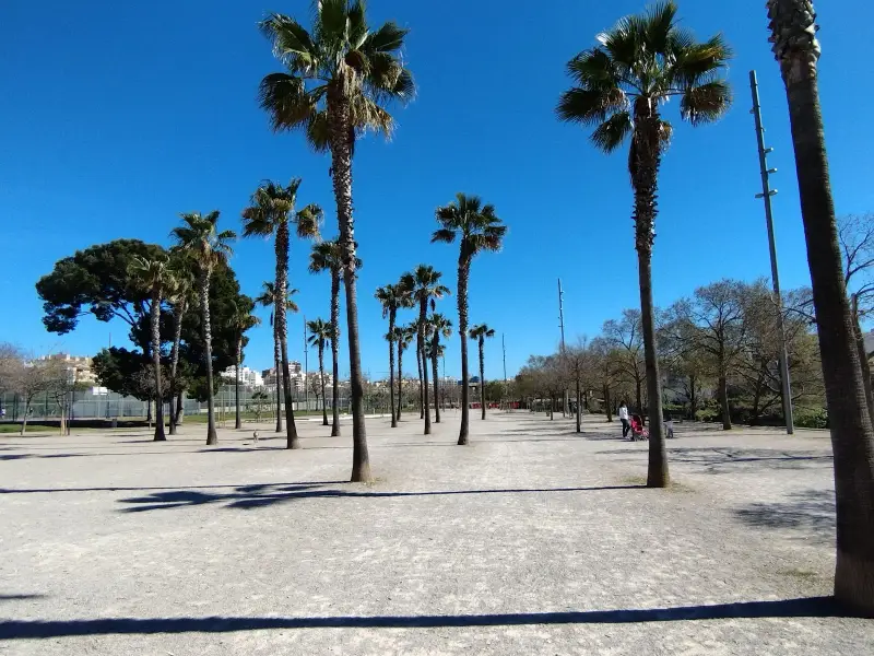 Parc de Sa Riera - Imagen 1