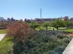 Parc de Sa Riera - Imagen 9