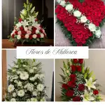 Flores de Mallorca - Bild 9