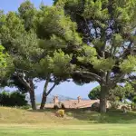 Capdepera Golf - Bild 9