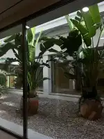 Instituto Rubí - Bild 6