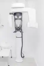 Dentipalma - Imagen 6