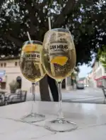 Can Mir 45 - Image 7