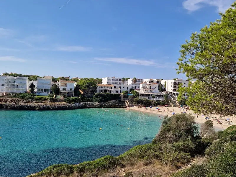 Clínica Veterinària Portocolom - Bild 1