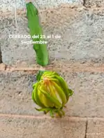 Clínica Veterinària Portocolom - Bild 8