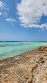 Arenal de Sa Ràpita - Bild 8