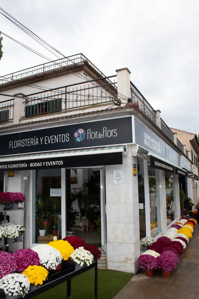Floristería Flor de Flors - Bild 1