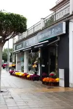 Floristería Flor de Flors - Bild 9