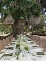 Floristería Flor de Flors - Bild 7