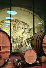 Bodega CAN AXARTELL - Bild 6