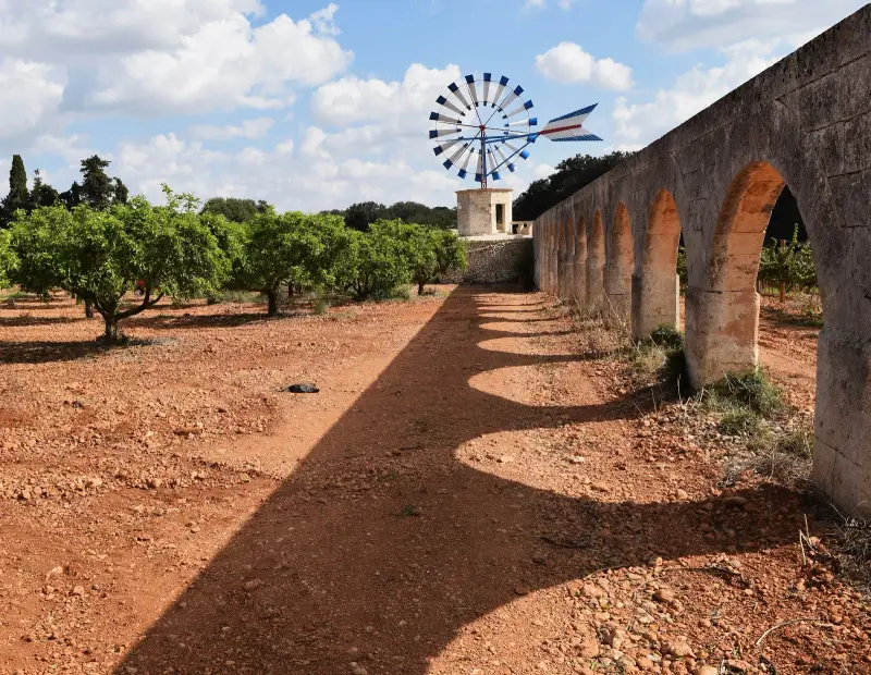 Bodega Son Ramon - Bild 1