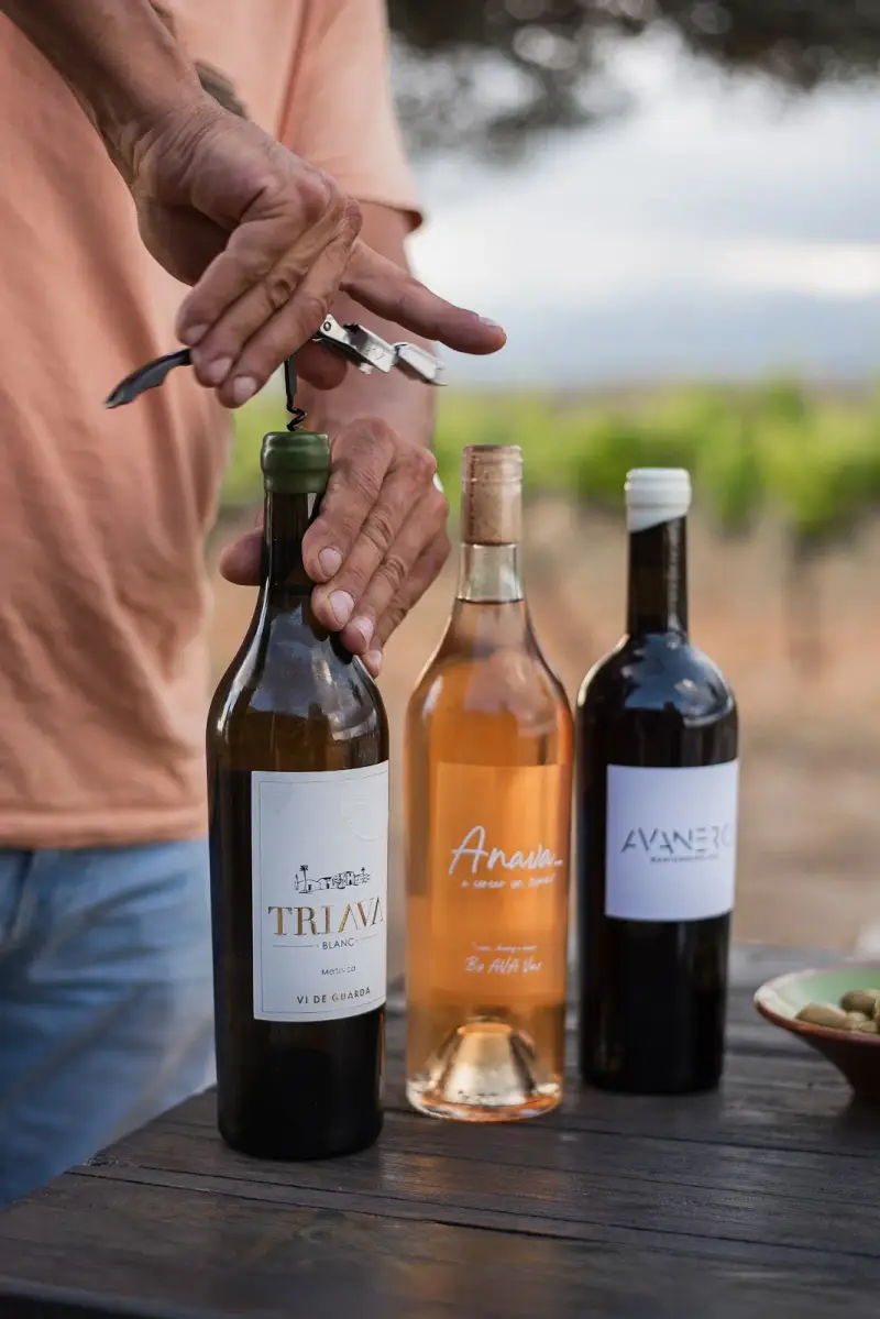 Bodega AVA Vi - Bild 1