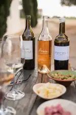 Bodega AVA Vi - Bild 2