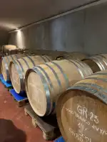 Bodega AVA Vi - Bild 7