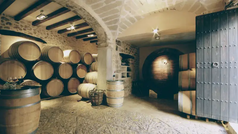 Vins Can Novell - Image 1