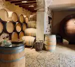 Vins Can Novell - Image 2