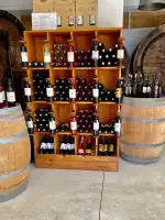 Vins Can Novell - Image 9