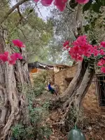 Feliz Animal - Imagen 8