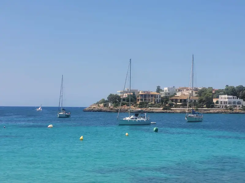 Selecto Charter - Bild 1