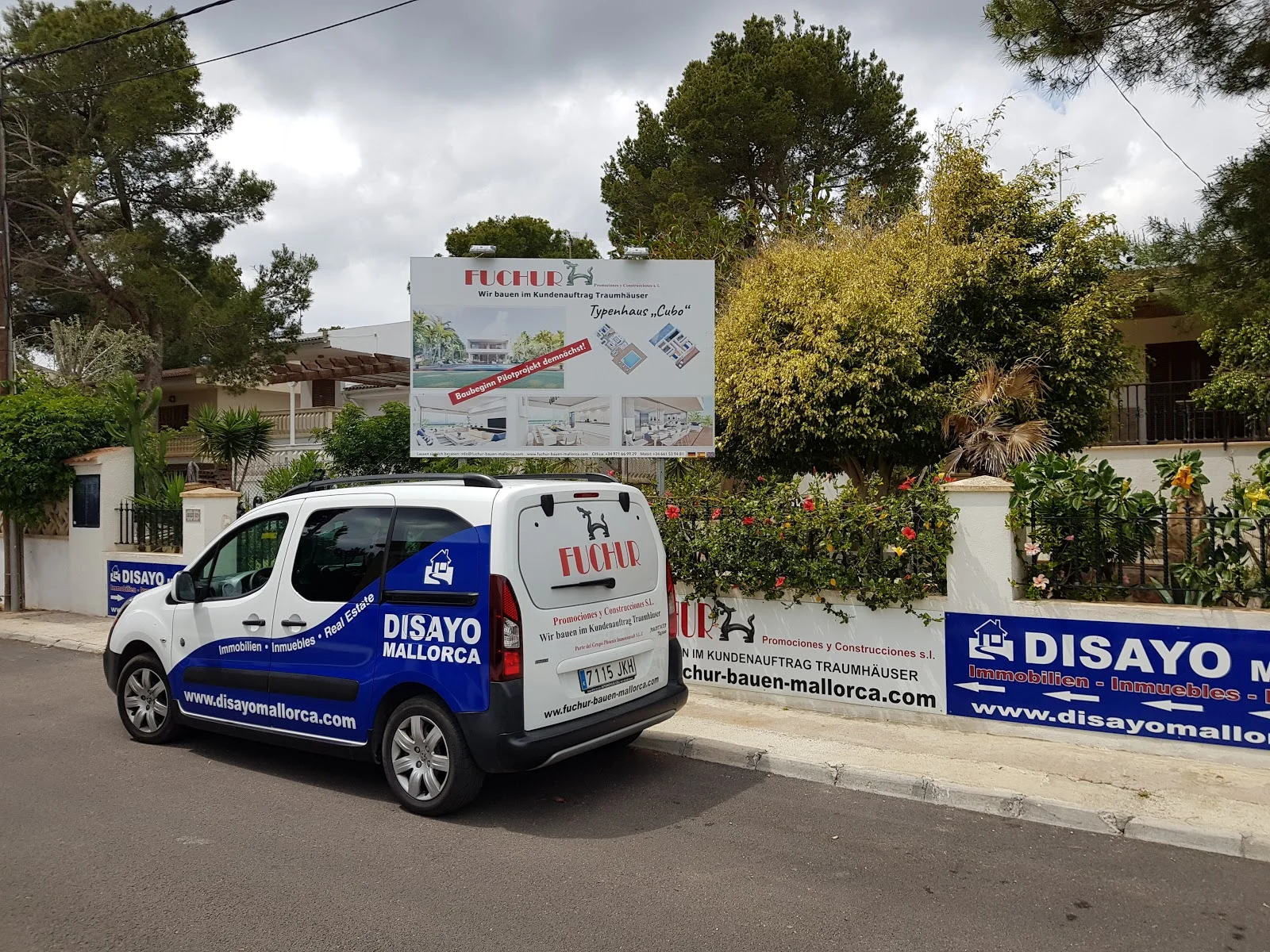 Disayo - Bild 1