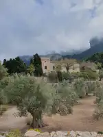 Monestir de Miramar - Image 8