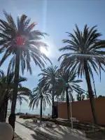 Anima Beach Palma - Image 9